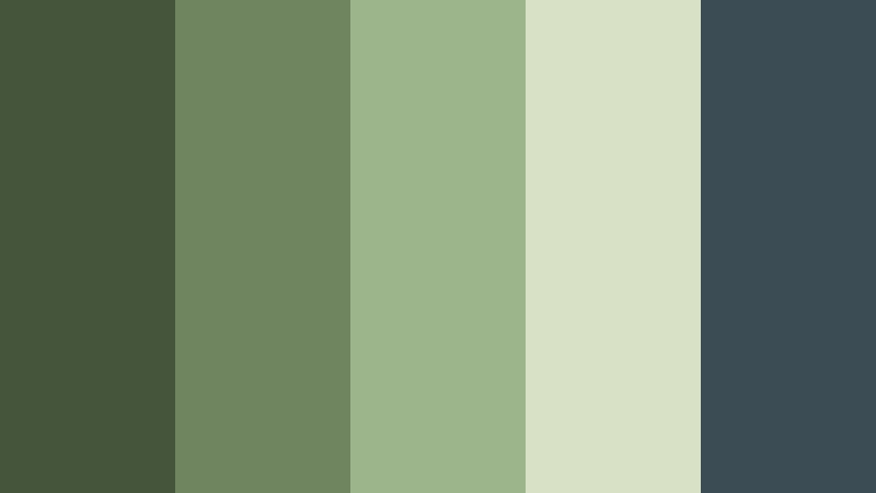 mossy riverbank calm forest moss color palette with hex codes