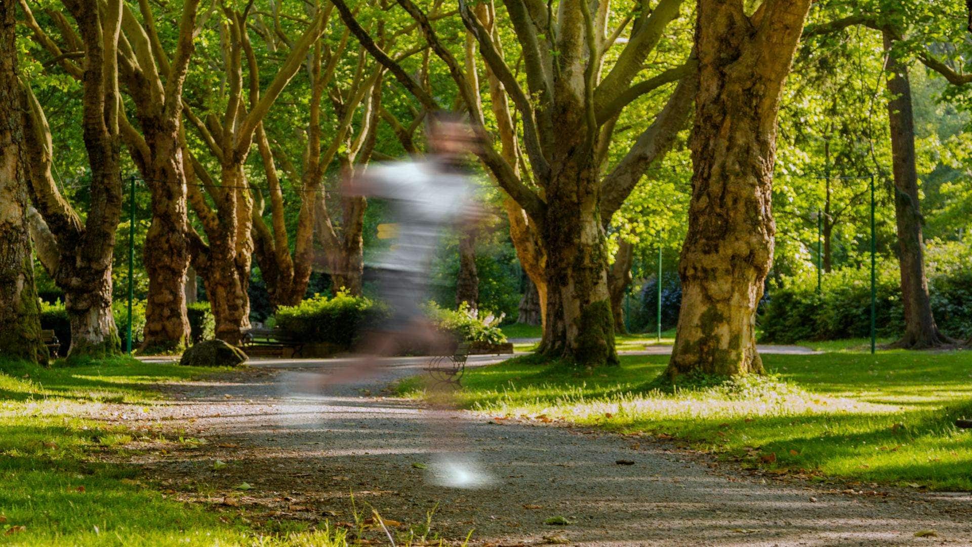 add motion blur in filmora