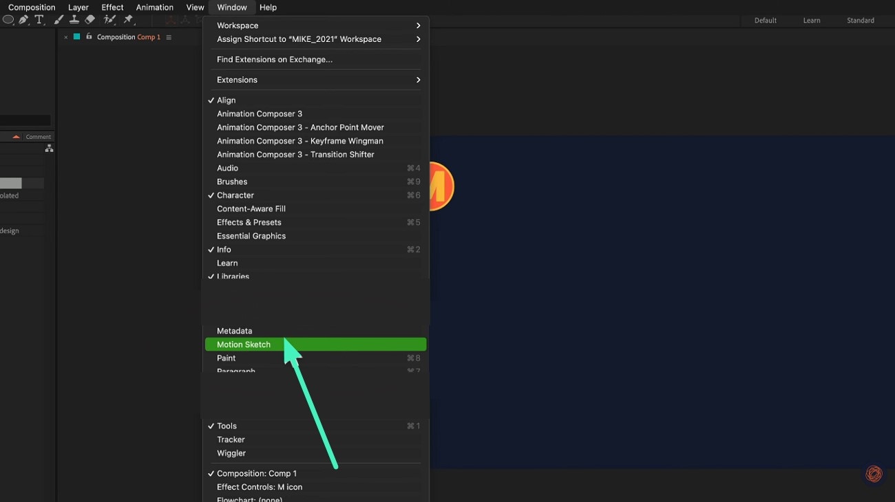 start accessing motion sketch