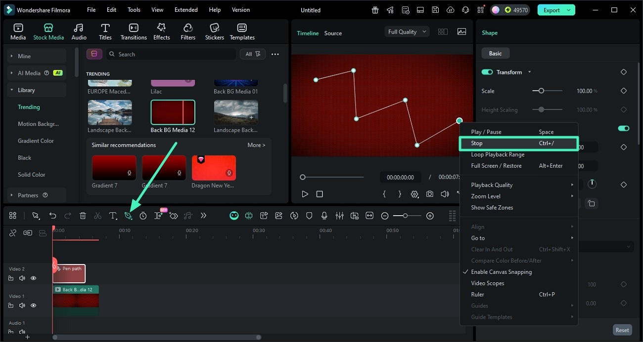 acquire pen tool and draw