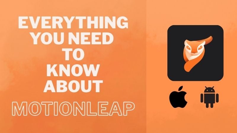 all about motionleap
