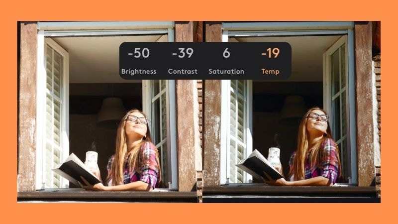adjust the color in motionleap