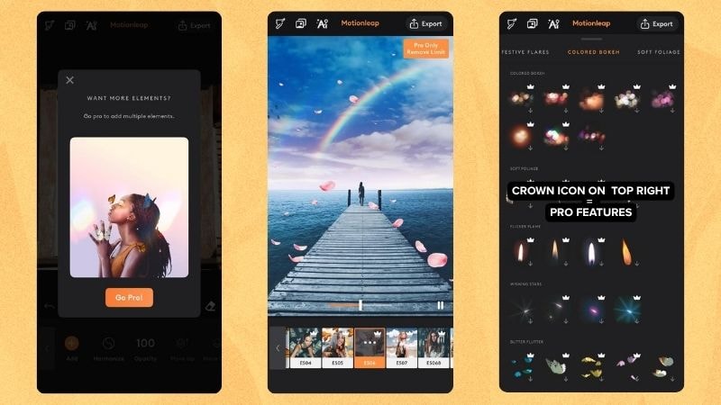 pro features in motionleap