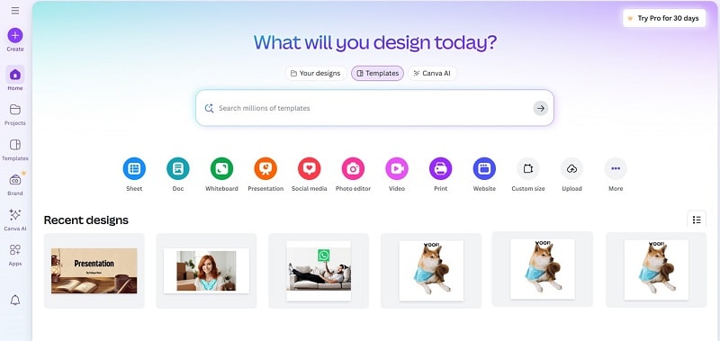 canva online interface