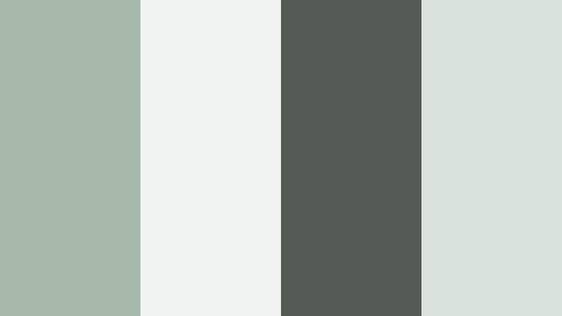muted botanical brand eucalyptus mist color palette with hex codes