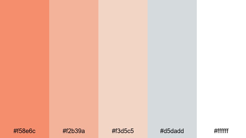 muted coral interface coral orange color palette with hex codes