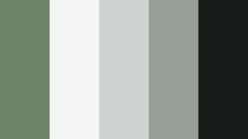muted interface grid sage fern color palette with hex codes