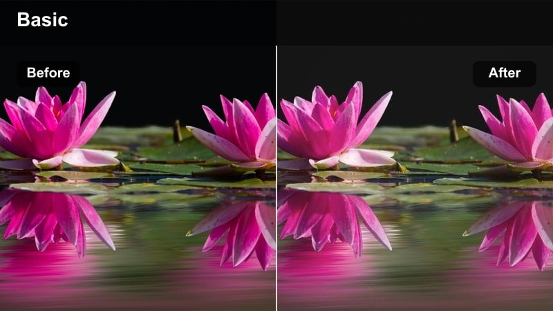 Park pathway with trees and benches in gently faded, low-saturation colors.