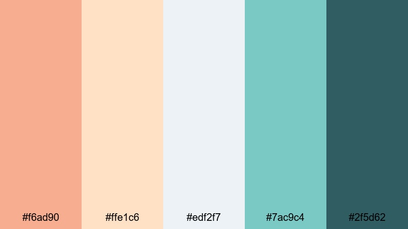 muted teal frame orange turquoise color palette with hex codes