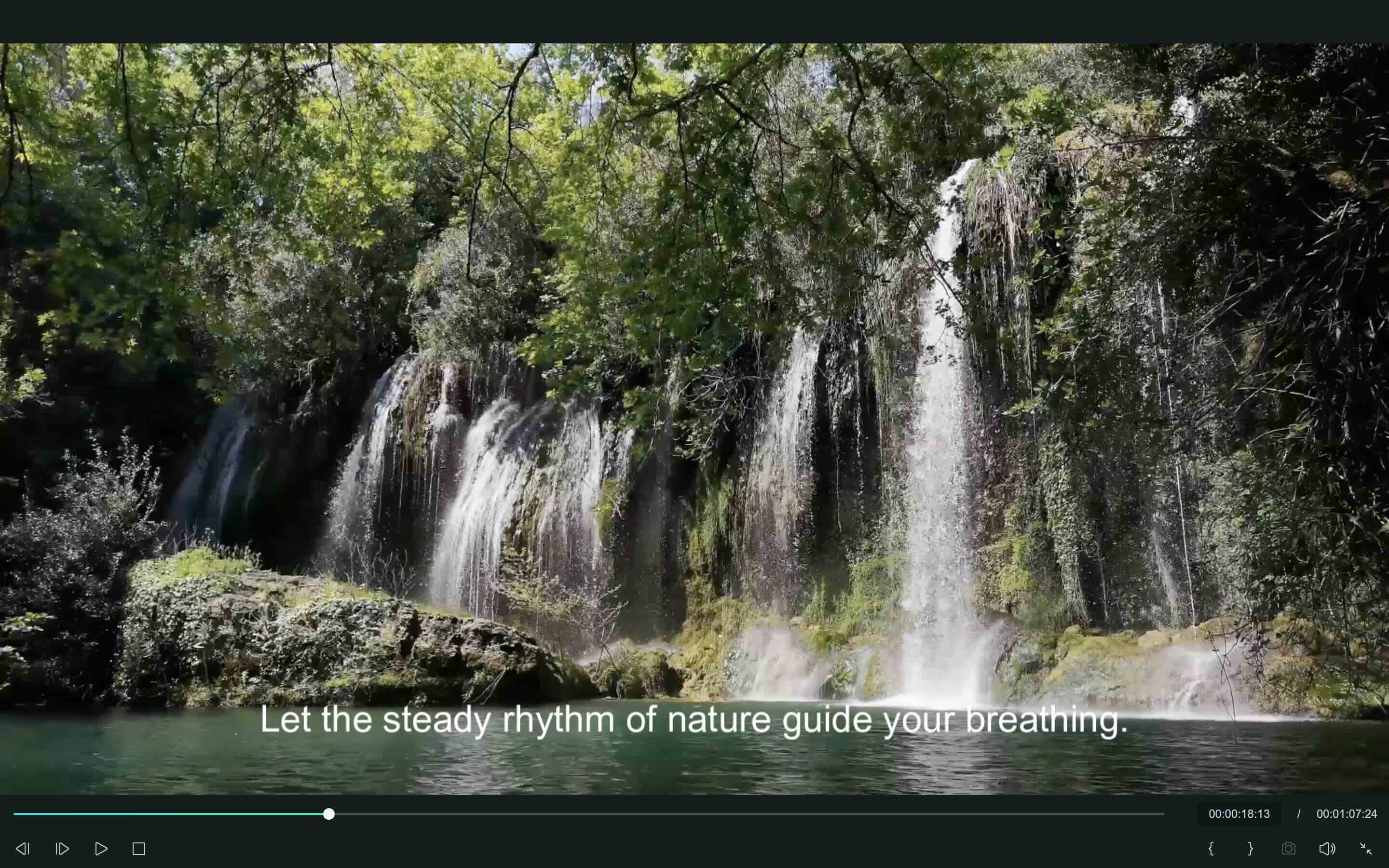 preview the entire sequence