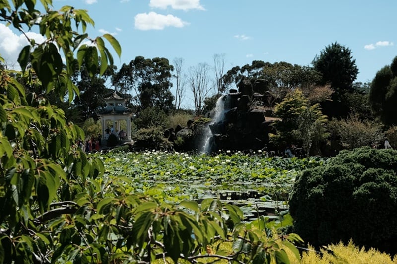 exemples de prompts ambiance nature magique