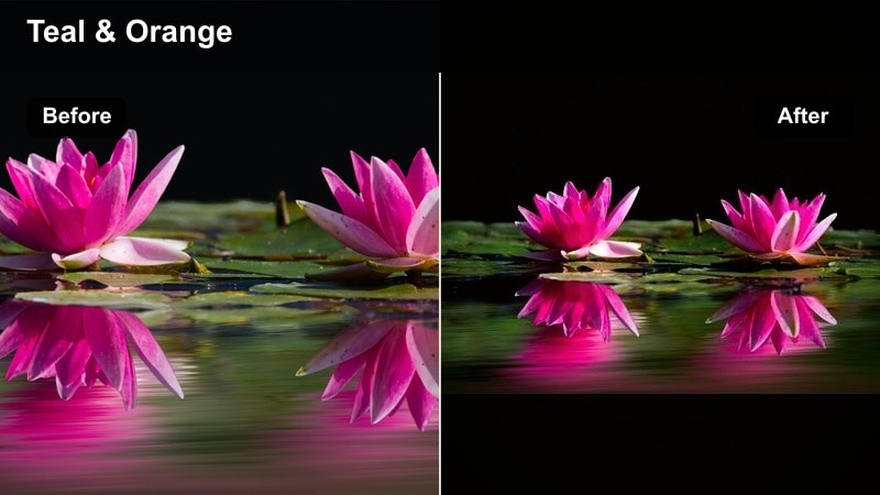 Action outdoor TikTok with bold neon-like oranges and teals