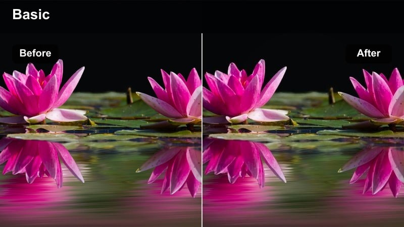 Cinematic city street with bright neon signs and strong contrast against a dark background.