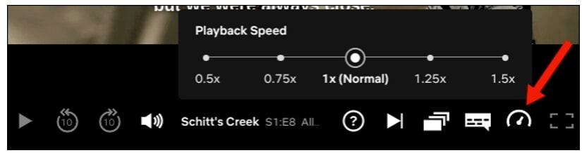 netflix speed control option computer