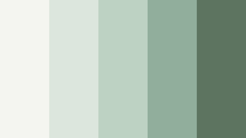 neutral sage workspace mint sage color palette with hex codes