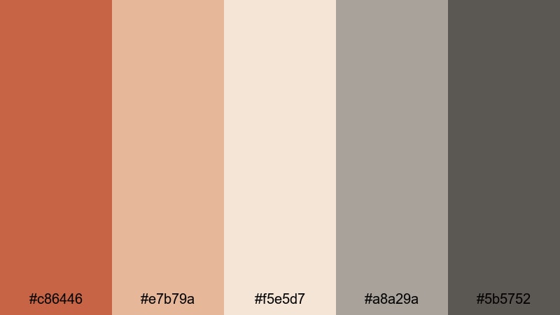 neutral studio terracotta terra cotta color palette with hex codes