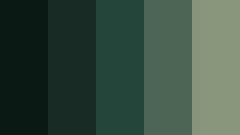 night fern forest color palette color palette with hex codes