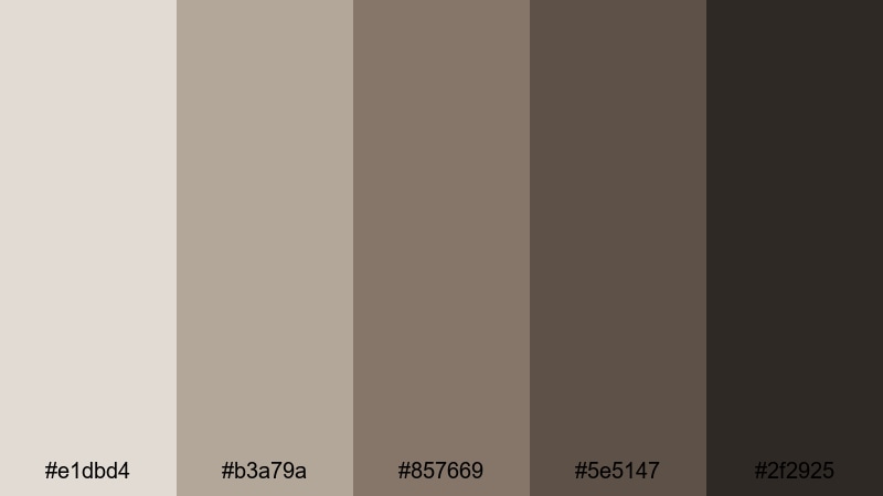 nightfall street taupe taupe color palette with hex codes