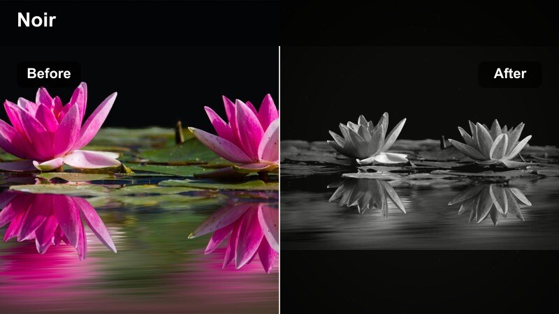 Silhouetted couple arguing in a dark room with strong contrast and deep shadows