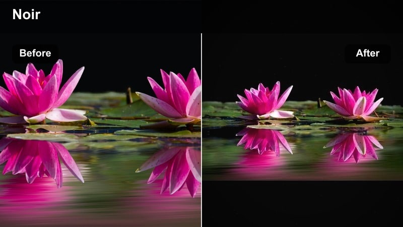 Influencer portrait with deep shadows and glowing highlights using a noir filter