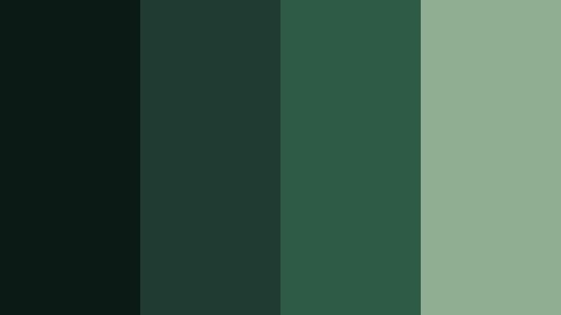noir studio forest dark film green color palette with hex codes