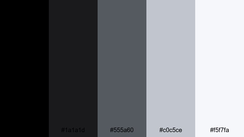 noir studio spotlight black silver color palette with hex codes