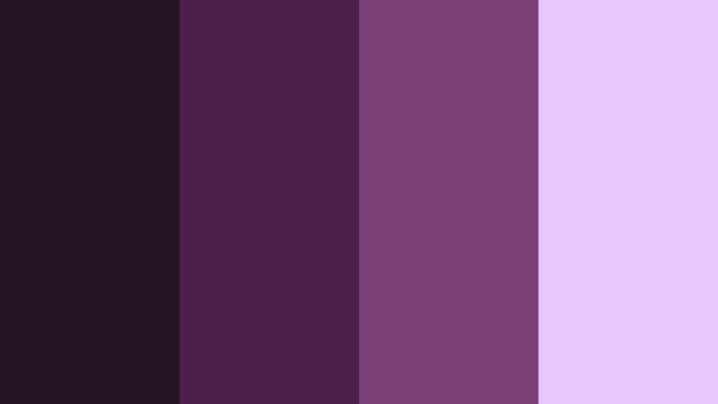 noir velvet night midnight plum color palette with hex codes