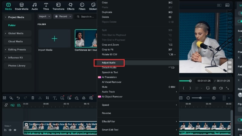 right click and select adjust audio