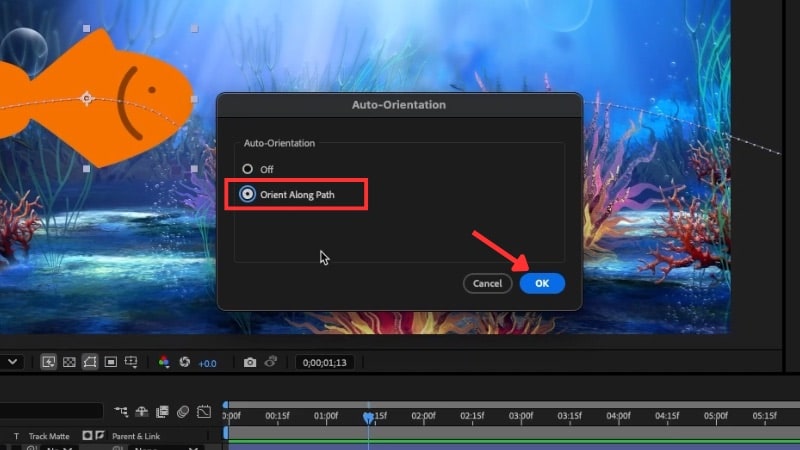 confirm the auto orient setting
