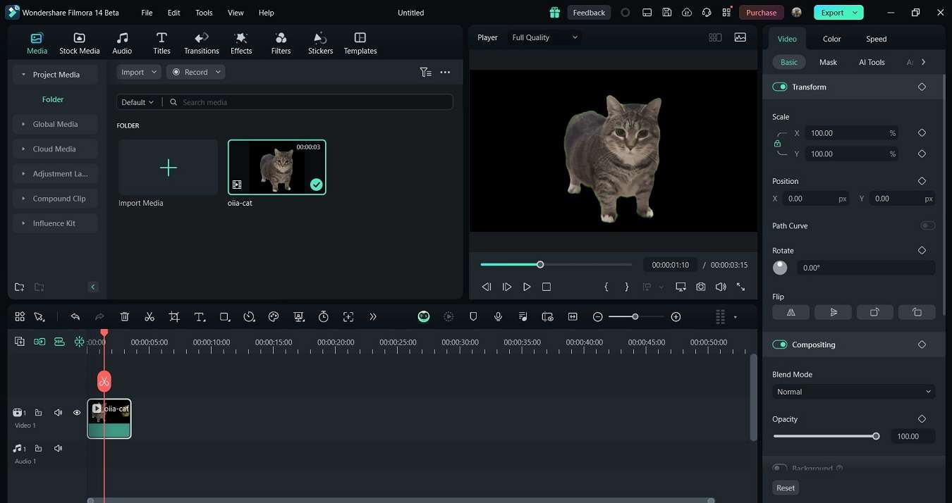 editing the oiia cat