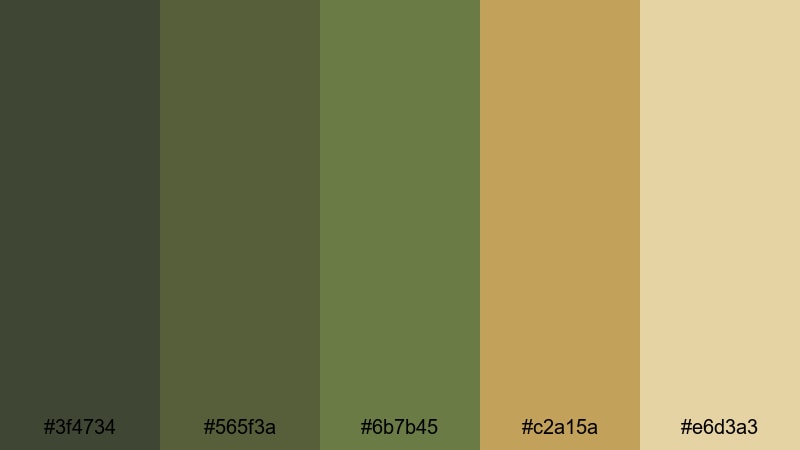 olive field harvest rustic color palette with hex codes