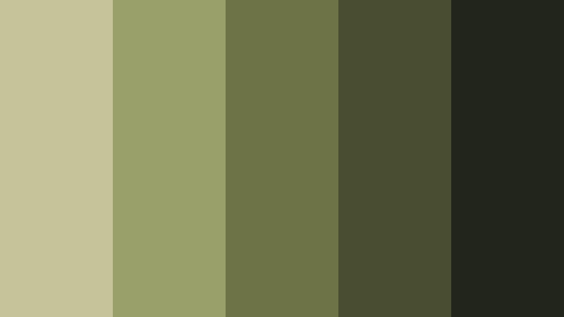 olive grain cut documentary color color palette with hex codes
