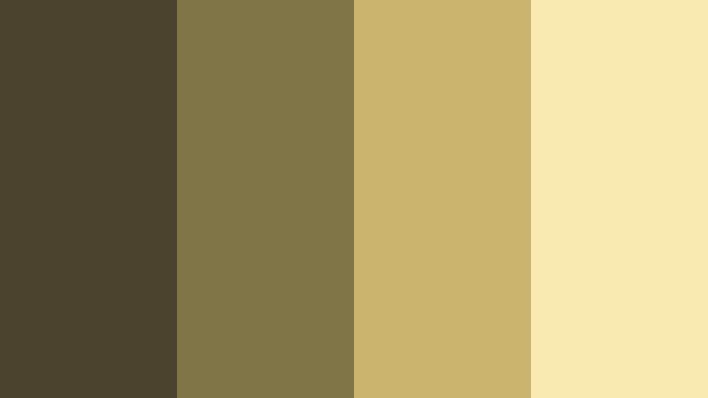 olive grove sunrise deep olive brown color palette with hex codes