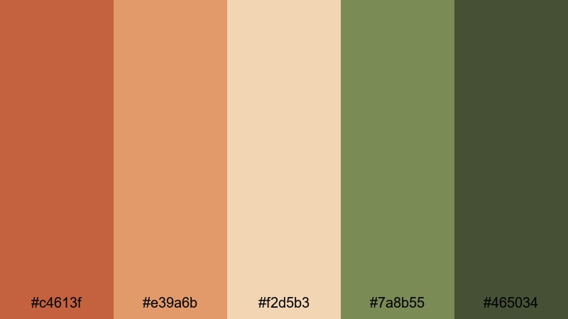 olive grove terracotta terra cotta color palette with hex codes