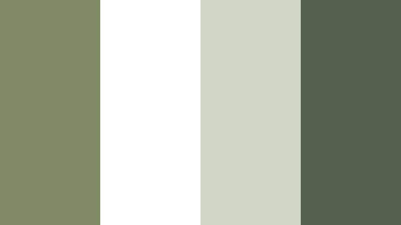 olive notebook grid olive mist color palette with hex codes