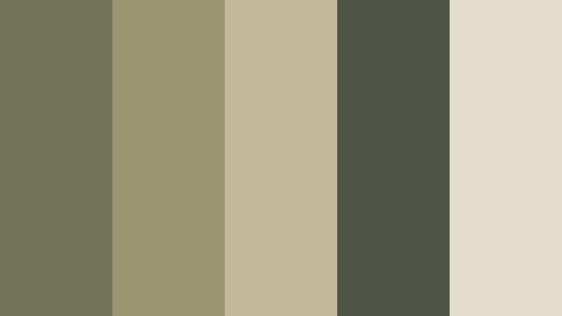 olive stone earth tone color color palette with hex codes