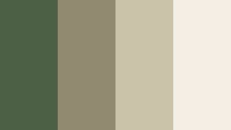 olive stone gallery woodland fern color palette with hex codes