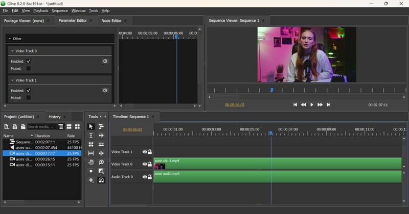 olive editor interface