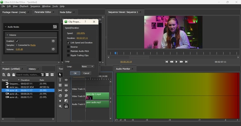 olive editor audio display