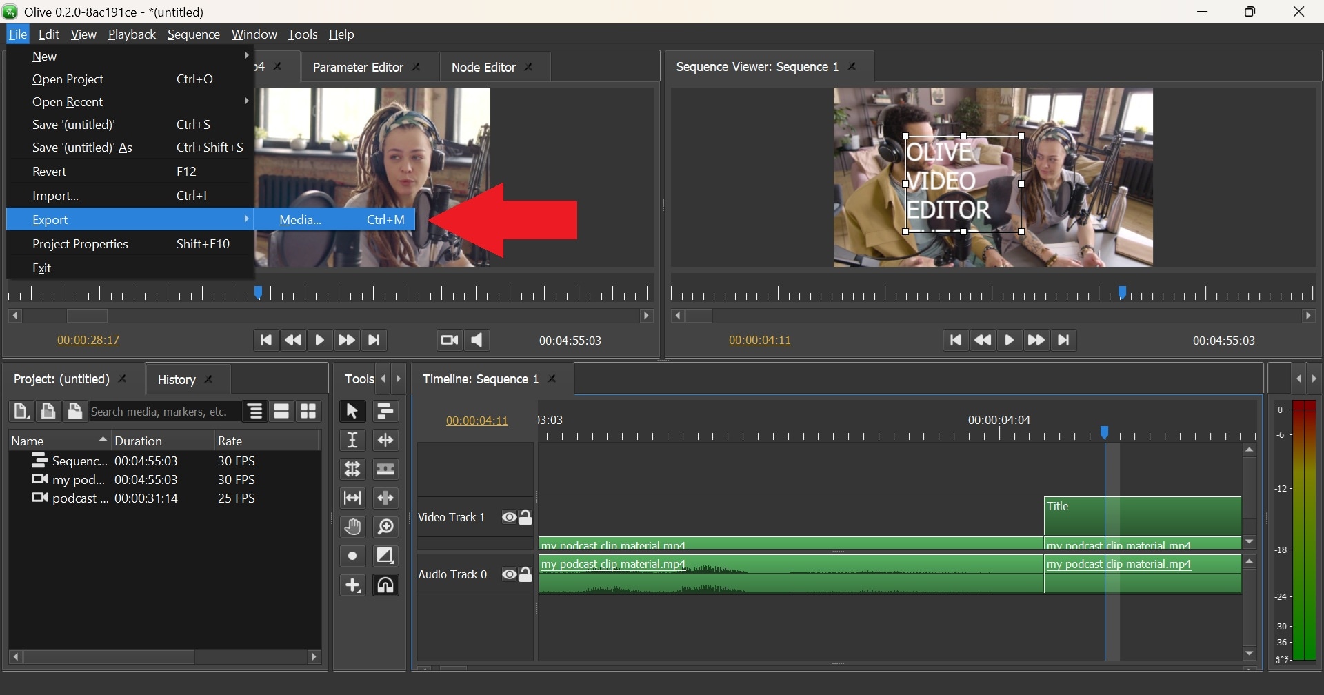 find export options on olive editor