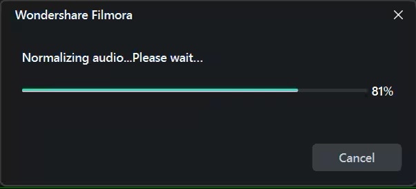 filmora auto-processing the audio