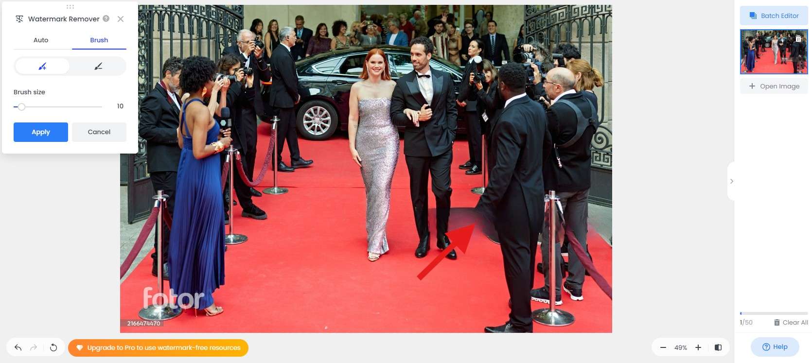 remove the watermark and preview results fotor
