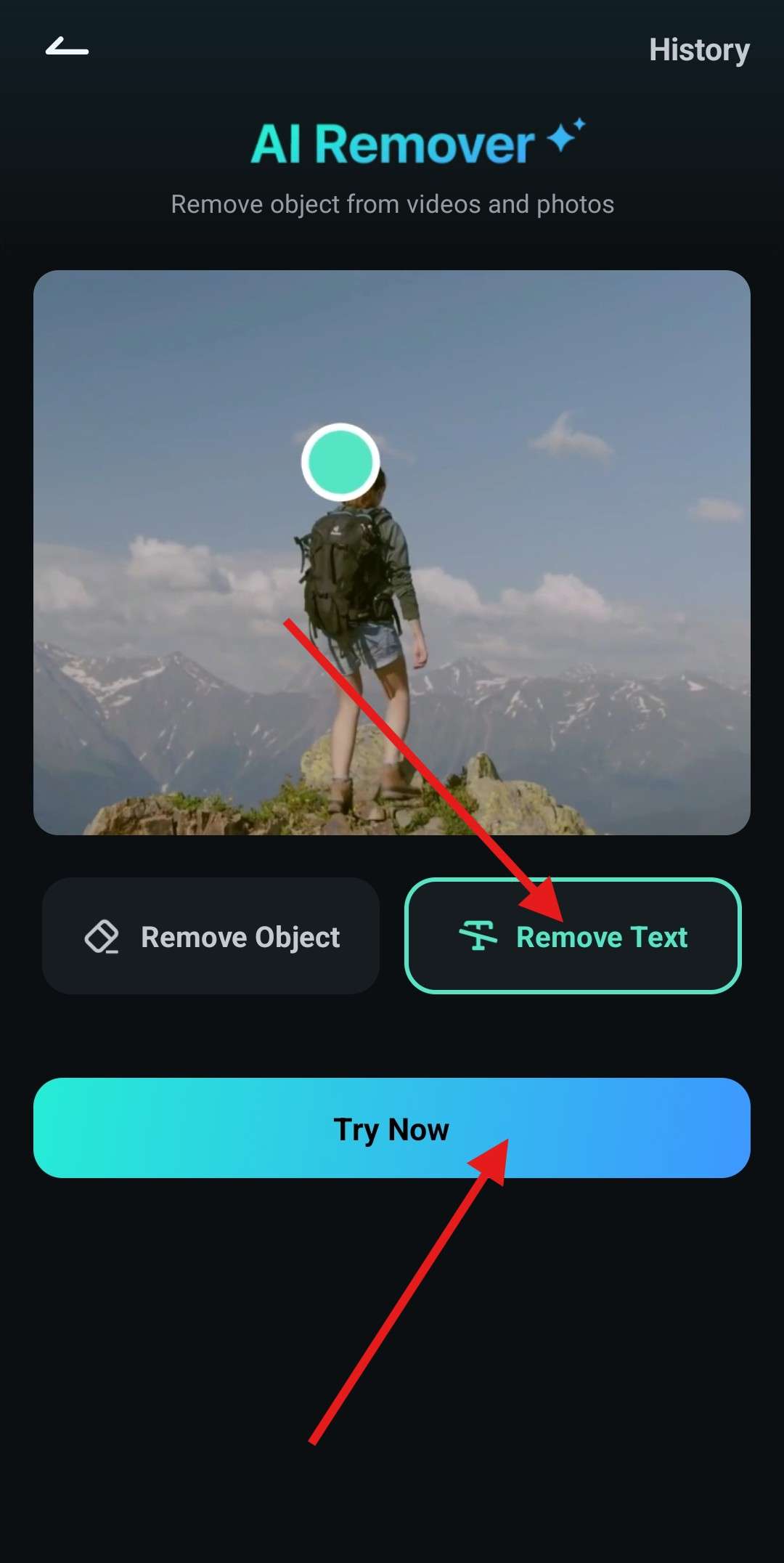 try the ai object remover feature