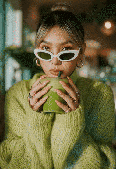 save and export pet video