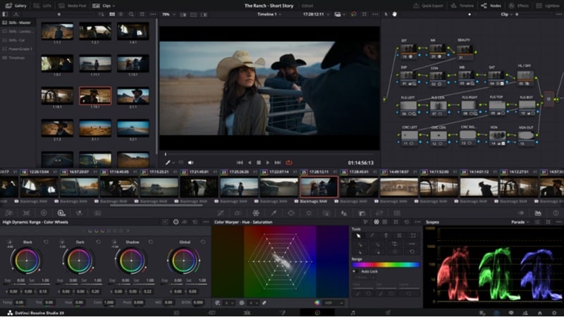 davinci resolve color page