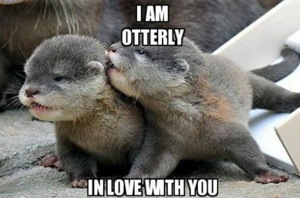 I am otterly in love with you