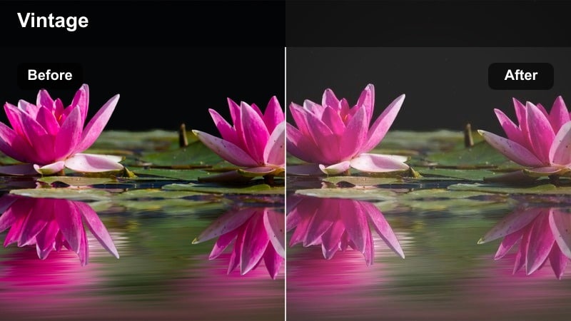 Driveway and parked car on an overcast day with cool, faded tones.