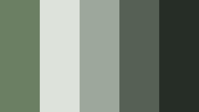 overcast forest frame sage fern color palette with hex codes