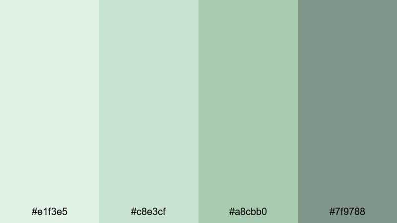 pale green monochrome clean pale green color palette with hex codes