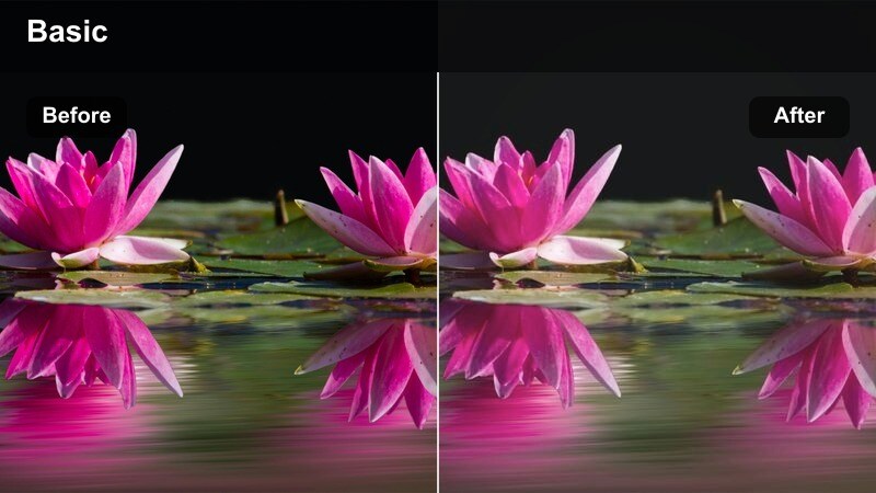 Fashion vlogger walking through a park in a casual outfit